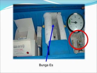 Bunga Es
 