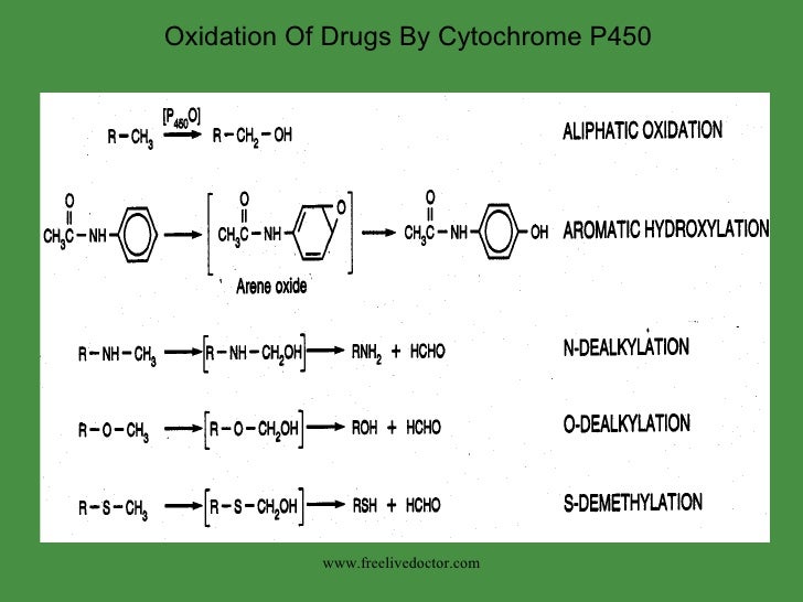 Drug metabolism
