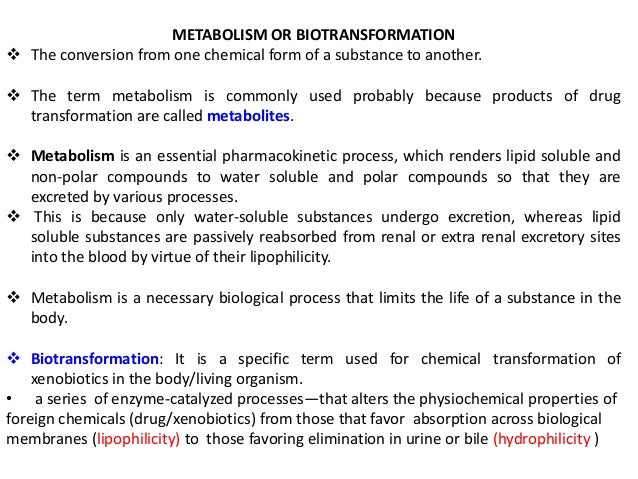 recent advances in phototrophic