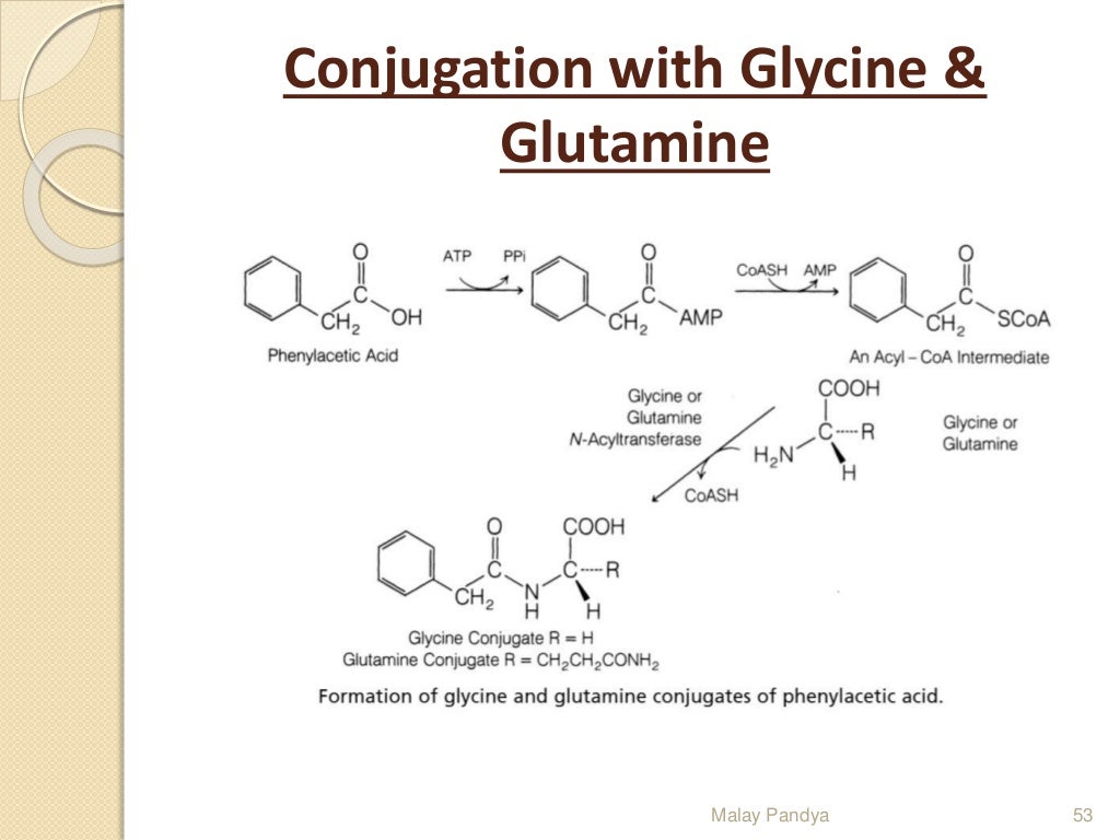 Drug metabolism
