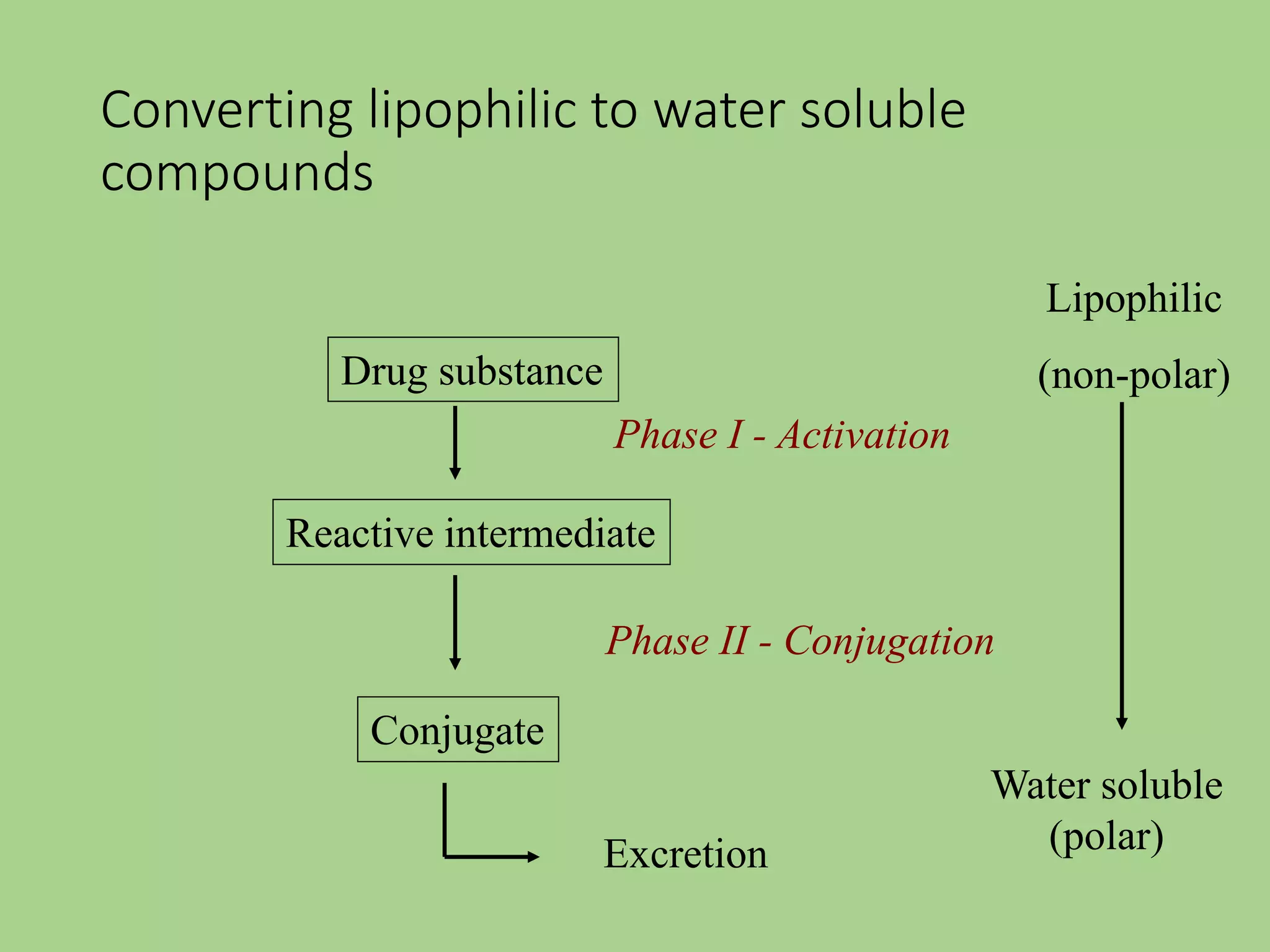 Drug metabolism (metabolism of drugs) | PPT