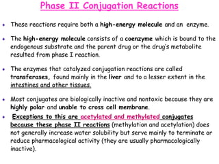 Phase II Conjugation Reactions
These reactions require both a high-energy molecule and an enzyme.
The high-energy molecule consists of a coenzyme which is bound to the
endogenous substrate and the parent drug or the drug’s metabolite
resulted from phase I reaction.
The enzymes that catalyzed conjugation reactions are called
transferases, found mainly in the liver and to a lesser extent in the
intestines and other tissues.
Most conjugates are biologically inactive and nontoxic because they are
highly polar and unable to cross cell membrane.
Exceptions to this are acetylated and methylated conjugates
because these phase II reactions (methylation and acetylation) does
not generally increase water solubility but serve mainly to terminate or
reduce pharmacological activity (they are usually pharmacologically
inactive).
 