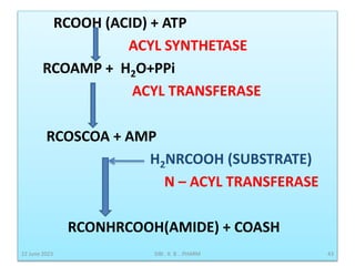 DRUG METABOLISM.pptx