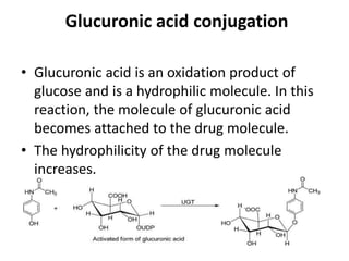 glutathione cocktail injection Phase II - Sugar Conjugation | Metabolism of Herbicides or Xenobiotics in  Plants
