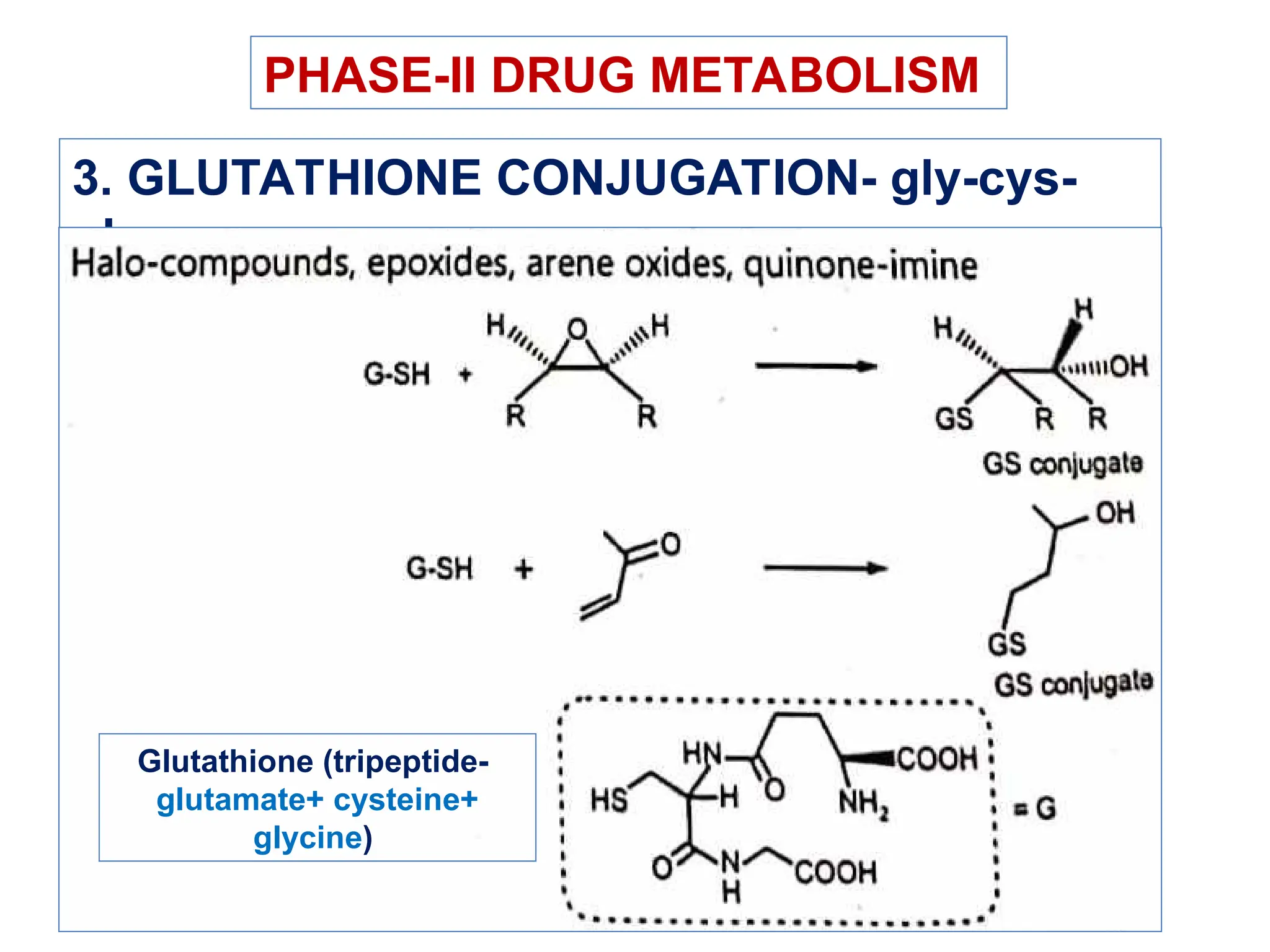 glutathione conjugation examples GSTO2 - an overview Phase II - Sugar Conjugation