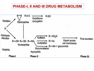 DRUG METABOLISM WITH SUITABLE EXAMPLES IN PHARMACEUTICALS .ppt