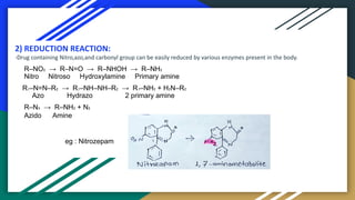 Comprehensive Overview of Drug Metabolism Processes and Pathways | PDF