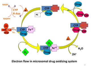 DRUG METABOLISM | PPTX