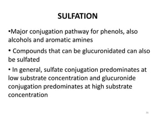 DRUG METABOLISM | PPTX