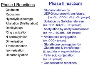 glutathione phase 2 metabolism Xenobiotic metabolism main image 1