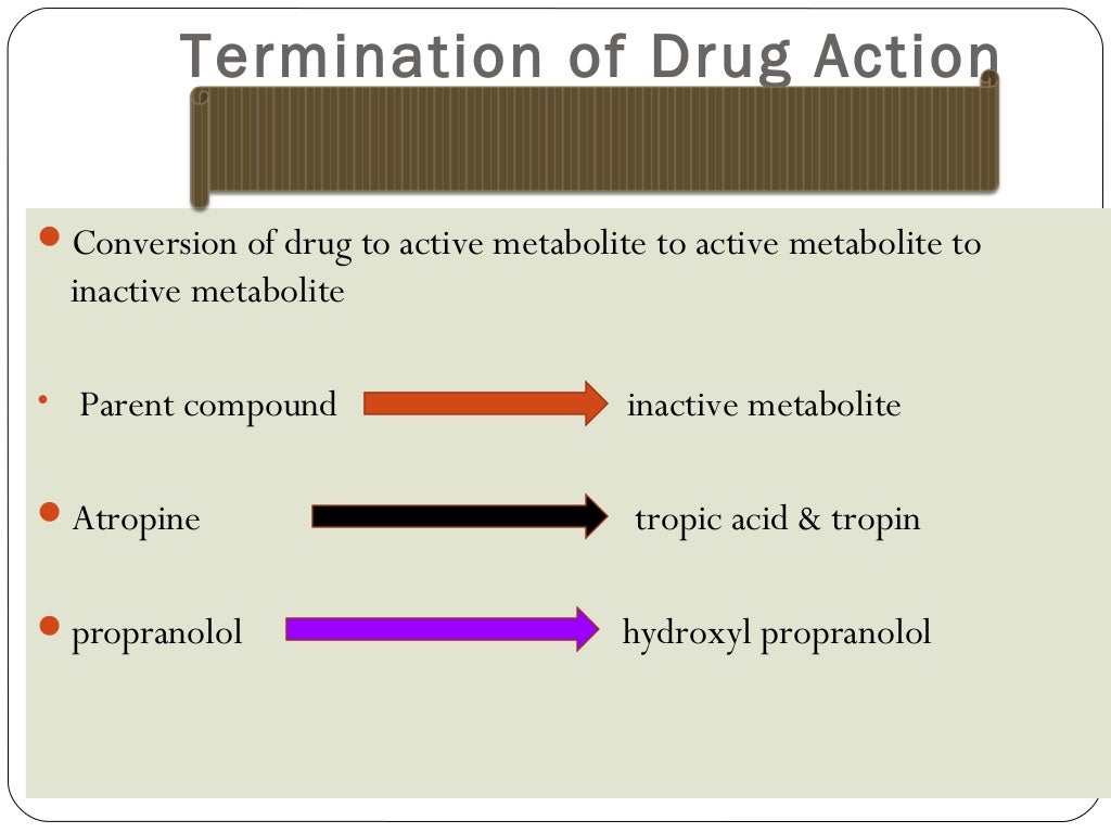 Drug metabolism ppt