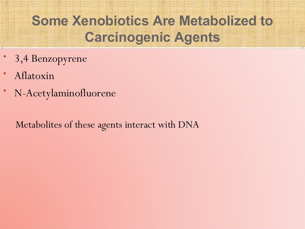 Drug metabolism ppt
