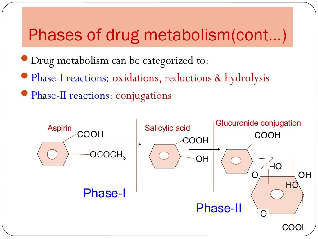 Drug metabolism ppt