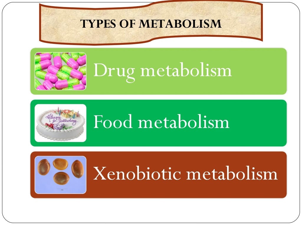 Drug metabolism ppt