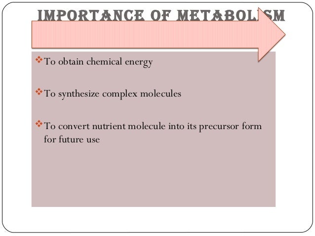 metabolismo tisular suplements