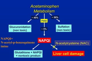 AcetaminophenAcetaminophen
MetabolismMetabolism
Glucuronidation
(non toxic)
Sulfation
(non toxic)
NAPQI
P450
~ 5%
Glutathione + NAPQI
= nontoxic product
Liver cell damage
N-acetylcysteine (NAC)
~ 45% ~ 50%
NAPQI=
N-acetyl-p-benzoquinone
imine
 