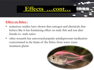 Effects …cont…
Effect on fishes :
• numerous studies have shown that estrogen and chemicals that
behave like it has feminizing effect on male fish and can alter
female-to- male ratios
• other research has uncovered popular antidepressant medication
concentrated in the brain of the fishes from water waste
treatment plants
 
