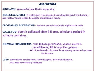 ASAFOETIDA
SYNONAME- gum asafoetida, Devil’s dung, hing

BIOLOGICAL SOURCE- It is oleo-gum resin obtained by making incision from rhizomes
and roots of Ferula foetida belongs to Umbellifarae family.


GEOGRAPHICL DISTRIBUTION- native to central asia-persia, Afghanistan, India.

COLLECTION- plant is collected after 4-5 year, dried and packed in
suitable container.

CHEMICAL CONSTITUENTS- resin 40-65%, gum 20-25%, volatile oil4-20 %
                       umbelliferone, di& tri sulphides , pinene.
                    Oil of asafoetida obtained from oleo-gum-resin by steam
                               distillation.

USES- carminative, nervine tonic, flavoring agent, intestinal antiseptic.
       also used in veterinary medicine.
 