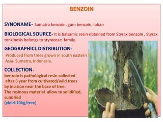 BENZOIN

SYNONAME- Sumatra benzoin, gum benzoin, loban
BIOLOGICAL SOURCE- It is balsamic resin obtained from Styrax benzoin , Styrax
tonkinesis belongs to styraceae family.
GEOGRAPHICL DISTRIBUTION-
Produced from trees grown in south eastern
Asia- Sumatra, Indonesia.
COLLECTION-
benzoin is pathological resin collected
 after 6 year from cultivated/wild trees
by incision near the base of tree.
The resinous material allow to solidified,
sundried
(yield-10kg/tree)
 