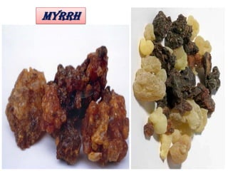 MYRRH
 