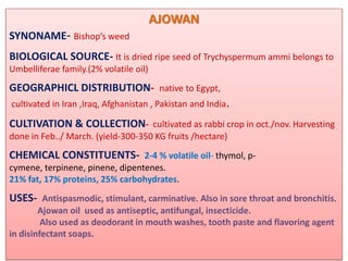 AJOWAN
SYNONAME- Bishop’s weed
BIOLOGICAL SOURCE- It is dried ripe seed of Trychyspermum ammi belongs to
Umbelliferae family.(2% volatile oil)
GEOGRAPHICL DISTRIBUTION- native to Egypt,
cultivated in Iran ,Iraq, Afghanistan , Pakistan and India.

CULTIVATION & COLLECTION- cultivated as rabbi crop in oct./nov. Harvesting
done in Feb../ March. (yield-300-350 KG fruits /hectare)
CHEMICAL CONSTITUENTS- 2-4 % volatile oil- thymol, p-
cymene, terpinene, pinene, dipentenes.
21% fat, 17% proteins, 25% carbohydrates.
USES- Antispasmodic, stimulant, carminative. Also in sore throat and bronchitis.
        Ajowan oil used as antiseptic, antifungal, insecticide.
         Also used as deodorant in mouth washes, tooth paste and flavoring agent
in disinfectant soaps.
 