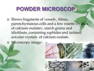 Drug presentation Asthishrinakla, Babbula., Chirabilwa | PPTX