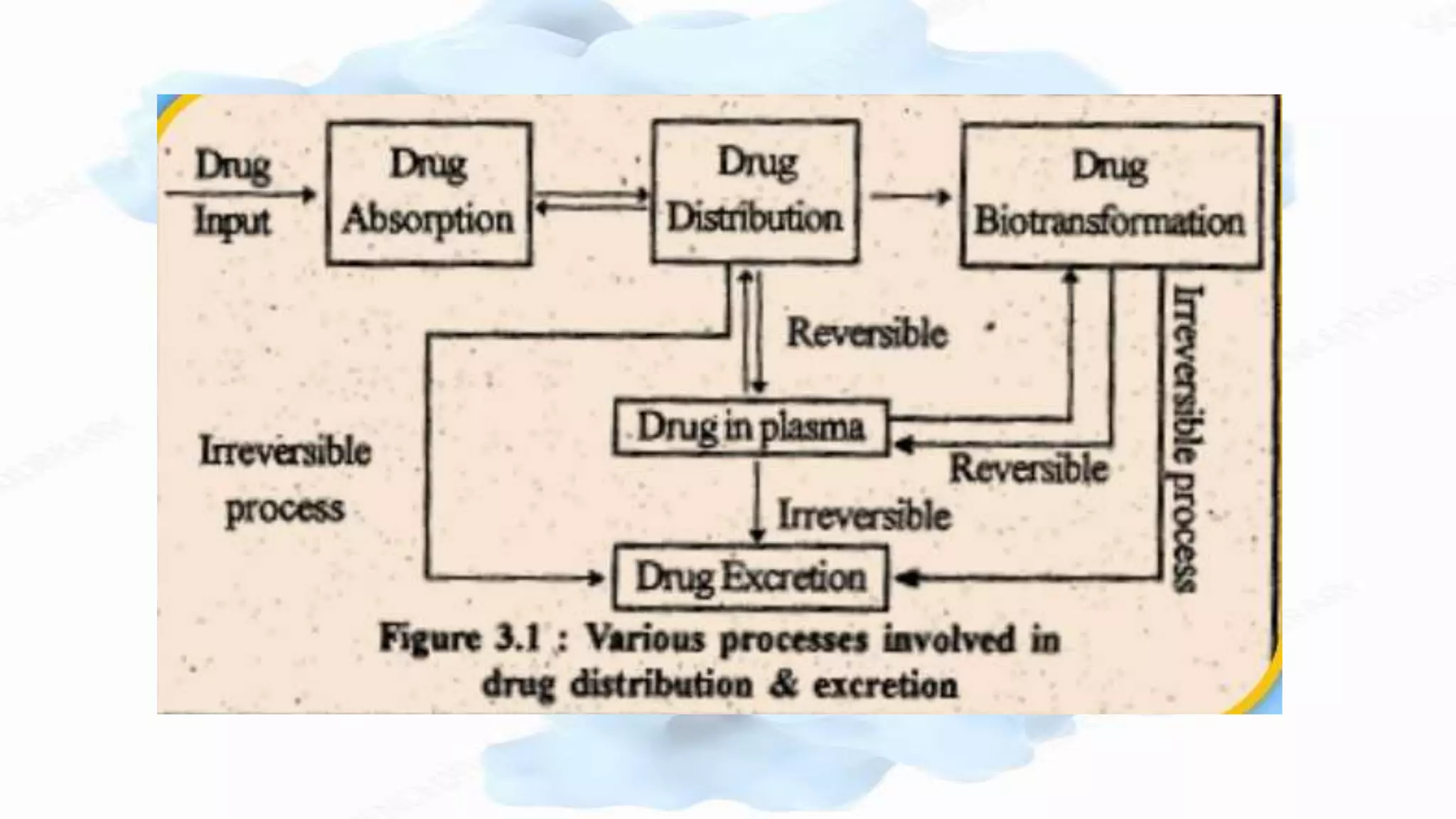 Drug protein interactions | PPTX