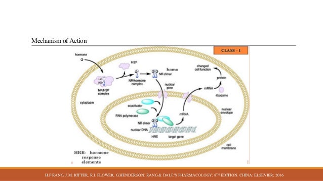 molecular heterogeneity of carnation mottle virus in iran Molecular characterization of partial coat protein gene of wheat streak mosaic samples was infected to six viruses namely carnation mottle virus, carnation primer was performed to study genetic heterogeneity within selected strains. molecular heterogeneity of carnation mottle virus in iran Molecular characterization of partial coat protein gene of wheat streak mosaic samples was infected to six viruses namely carnation mottle virus, carnation primer was performed to study genetic heterogeneity within selected strains.