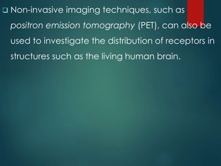  Non-invasive imaging techniques, such as
positron emission tomography (PET), can also be
used to investigate the distribution of receptors in
structures such as the living human brain.
 
