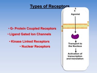 Types of Receptors
• Ligand Gated Ion Channels
• G- Protein Coupled Receptors
• Kinase Linked Receptors
• Nuclear Receptors
 