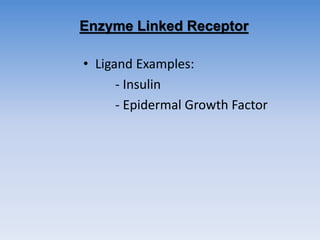 Enzyme Linked Receptor
• Ligand Examples:
- Insulin
- Epidermal Growth Factor
 