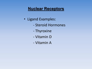Nuclear Receptors
• Ligand Examples:
- Steroid Hormones
- Thyroxine
- Vitamin D
- Vitamin A
 