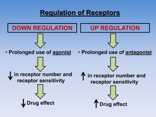 Regulation of Receptors
DOWN REGULATION UP REGULATION
• Prolonged use of agonist • Prolonged use of antagonist
in receptor number and
receptor sensitivity
Drug effect
in receptor number and
receptor sensitivity
Drug effect
 