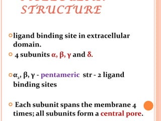 MOLECULAR   STRUCTURE ligand binding site in extracellular domain. 4 subunits  α, β, γ  and  δ. α 2 , β, γ  -  pentameric  str - 2 ligand binding sites Each subunit spans the membrane 4 times; all subunits form a  central pore . 