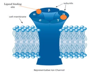 Ligand binding site 
