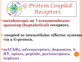 metabotropic  or  7-transmembrane-spanning (heptahelical)  receptors. coupled to intracellular effector systems via a G-protein. mAChRs, adrenoceptors, dopamine, 5-HT, opiate ,  peptide, purinoceptors, orphans . 