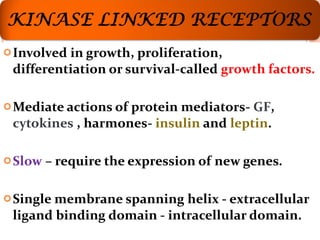 Involved in growth, proliferation, differentiation or survival-called  growth factors. Mediate actions of protein mediators-  GF ,  cytokines  , harmones-  insulin  and  leptin . Slow  – require the expression of new genes. Single membrane spanning helix - extracellular ligand binding domain - intracellular domain.  