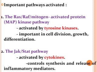 Important pathways activated : 1.  The Ras/Raf/mitogen- activated protein (MAP) kinase pathway - activated by  tyrosine kinases . - important in cell division, growth, differentiation.  2.  The Jak/Stat pathway  - activated by  cytokines . -controls synthesis and release of inflammatory mediators. 