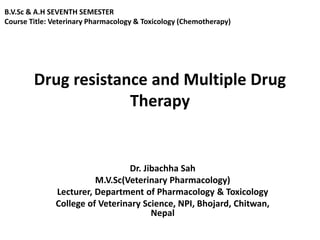 Drug resistance and Multiple Drug
Therapy
Dr. Jibachha Sah
M.V.Sc(Veterinary Pharmacology)
Lecturer, Department of Pharmacology & Toxicology
College of Veterinary Science, NPI, Bhojard, Chitwan,
Nepal
B.V.Sc & A.H SEVENTH SEMESTER
Course Title: Veterinary Pharmacology & Toxicology (Chemotherapy)
 