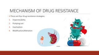 MECHANISM OF DRUG RESISTANCE
There are four drug resistance strategies;
1. Impermeability
2. Pumping out
3. Inactivation
4. Modification/Alteration
 