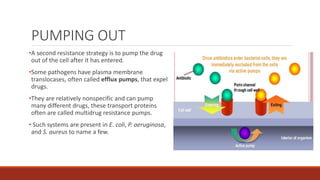 PUMPING OUT
•A second resistance strategy is to pump the drug
out of the cell after it has entered.
•Some pathogens have plasma membrane
translocases, often called efflux pumps, that expel
drugs.
•They are relatively nonspecific and can pump
many different drugs, these transport proteins
often are called multidrug resistance pumps.
• Such systems are present in E. coli, P. aeruginosa,
and S. aureus to name a few.
 