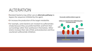ALTERATION
•Resistant bacteria may either use an alternate pathway to
bypass the sequence inhibited by the agent.
•Or increase the production of the target metabolite.
•For example, some bacteria are resistant to sulfonamides
simply because they use preformed folic acid from their
surroundings rather than synthesize it themselves. Other
strains increase their rate of folic acid production and thus
counteract sulfonamide inhibition.
 