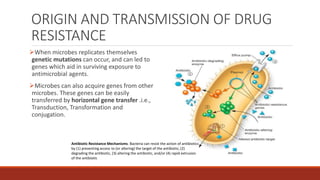 ORIGIN AND TRANSMISSION OF DRUG
RESISTANCE
When microbes replicates themselves
genetic mutations can occur, and can led to
genes which aid in surviving exposure to
antimicrobial agents.
Microbes can also acquire genes from other
microbes. These genes can be easily
transferred by horizontal gene transfer .i.e.,
Transduction, Transformation and
conjugation.
Antibiotic Resistance Mechanisms. Bacteria can resist the action of antibiotics
by (1) preventing access to (or altering) the target of the antibiotic, (2)
degrading the antibiotic, (3) altering the antibiotic, and/or (4) rapid extrusion
of the antibiotic
 
