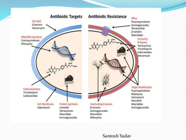 3 of mechanisms antibiotic resistance mechanism resistance Drug 3 of mechanisms antibiotic resistance mechanism resistance Drug