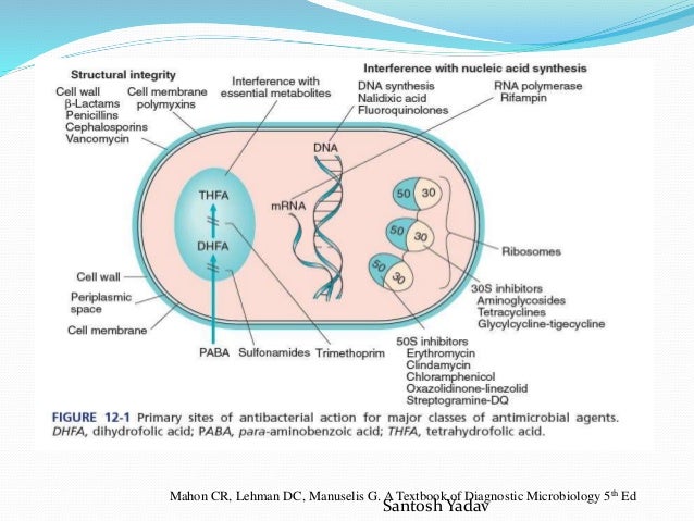Drug resistance mechanism Drug resistance mechanism