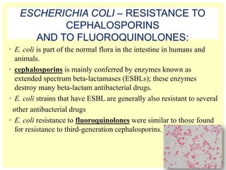 ESCHERICHIA COLI – RESISTANCE TO
CEPHALOSPORINS
AND TO FLUOROQUINOLONES:
• E. coli is part of the normal flora in the intestine in humans and
animals.
• cephalosporins is mainly conferred by enzymes known as
extended spectrum beta-lactamases (ESBLs); these enzymes
destroy many beta-lactam antibacterial drugs.
• E. coli strains that have ESBL are generally also resistant to several
other antibacterial drugs
• E. coli resistance to fluoroquinolones were similar to those found
for resistance to third-generation cephalosporins.
 