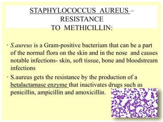STAPHYLOCOCCUS AUREUS –
RESISTANCE
TO METHICILLIN:
• S.aureus is a Gram-positive bacterium that can be a part
of the normal flora on the skin and in the nose and causes
notable infections- skin, soft tissue, bone and bloodstream
infections
• S.aureus gets the resistance by the production of a
betalactamase enzyme that inactivates drugs such as
penicillin, ampicillin and amoxicillin.
 