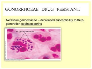GONORRHOEAE DRUG RESISTANT:
• Neisseria gonorrhoeae – decreased susceptibility to third-
generation cephalosporins
 
