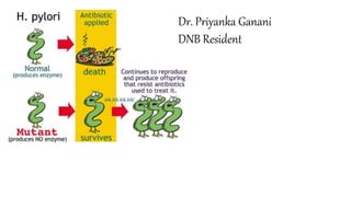 Dr. Priyanka Ganani
DNB Resident
 