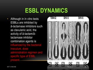 ESBL DYNAMICS
• Although in in vitro tests
  ESBLs are inhibited by
  â-lactamase inhibitors such
  as clavulanic acid, the
  activity of â-lactam/â-
  lactamase inhibitor
  combination agents is
  influenced by the bacterial
  inoculum, dose
  administration regimen and
  specific type of ESBL
  present

DR.T.V.RAO MD                   12/8/2012   18
 